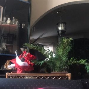 Meet your Posher, Sherina